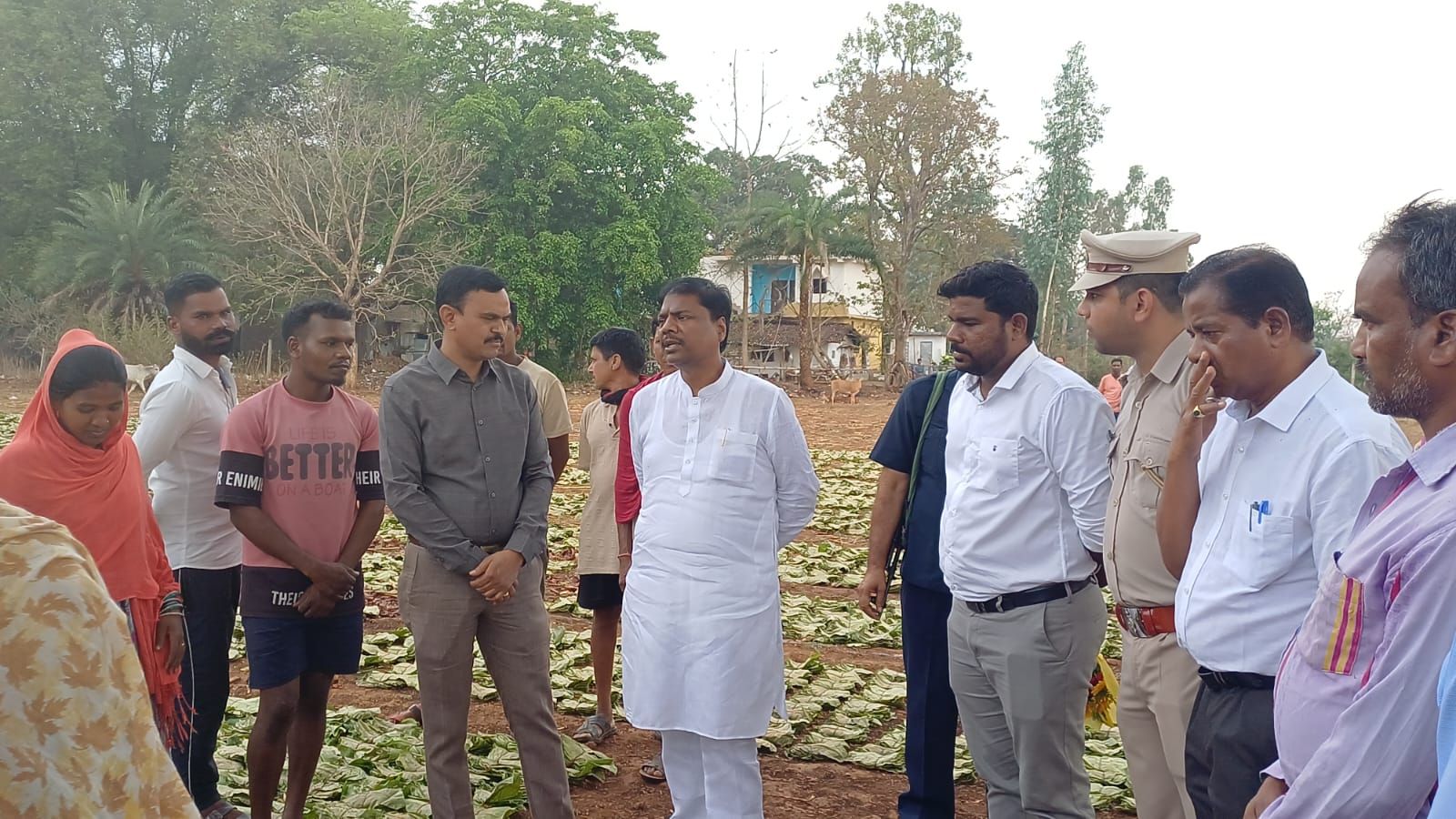 वन मंत्री का दहिकोंगा तेंदूपत्ता फड़ पर औचक निरीक्षण, संग्राहकों से किया संवाद