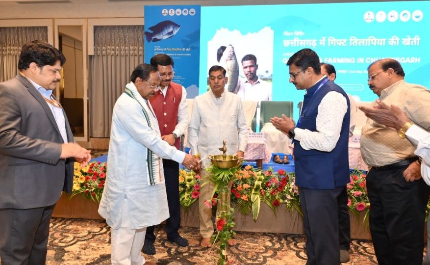 मछली पालन से मजबूत हो रही ग्रामीण अर्थव्यवस्था, देश में छठवें स्थान पर पहुंचा छत्तीसगढ़