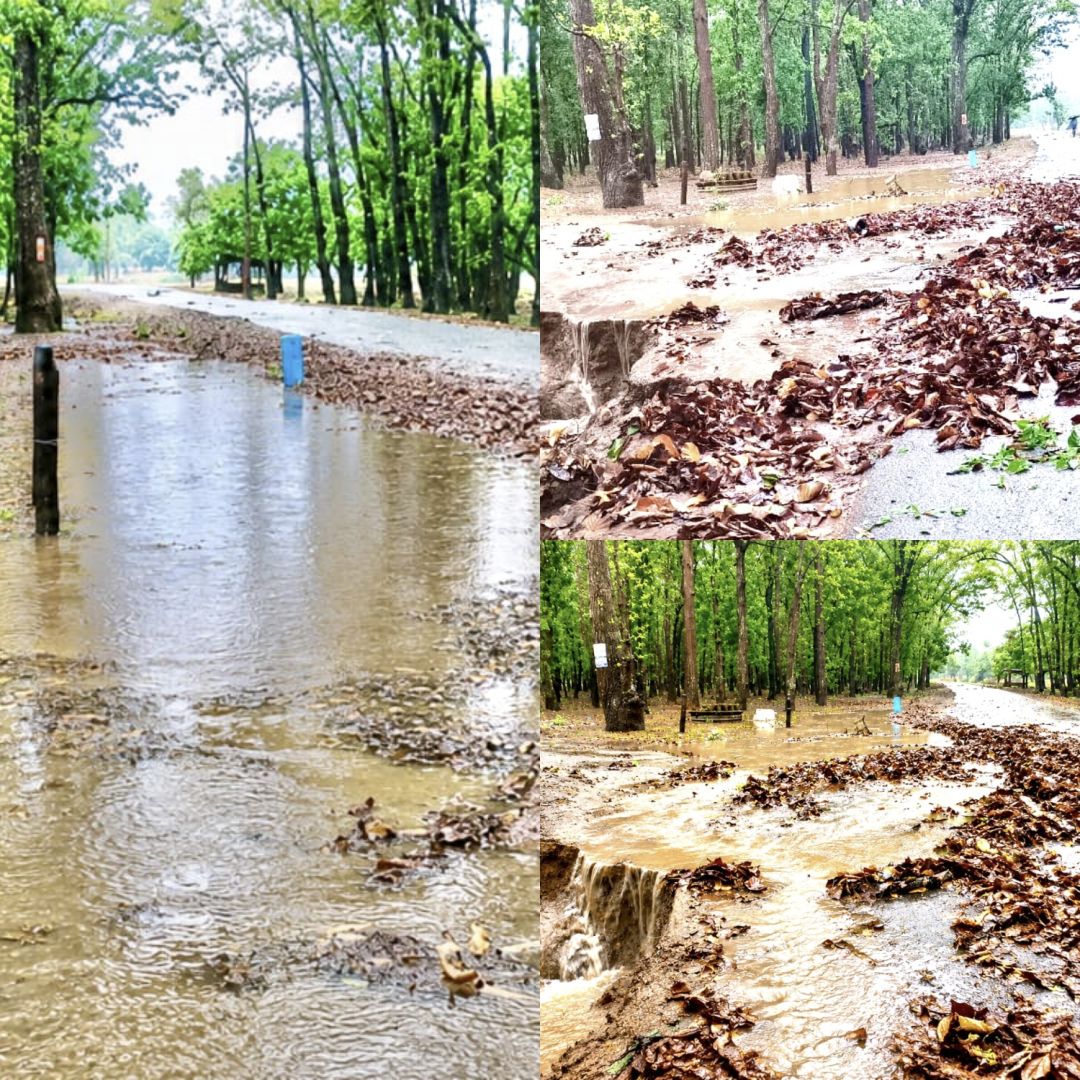 प्री-मानसून बारिश से सड़क किनारे बड़ा कटाव, कई गांवों का संपर्क प्रभावित होने की आशंका, ग्रामीणों ने की मरम्मत की मांग