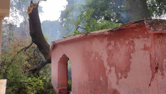 पेड़ की शाखा से युवक पर गिरने से हुई मौत