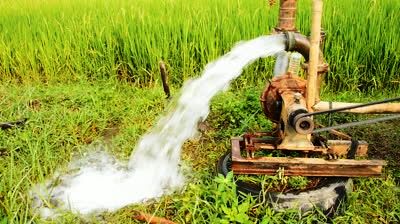 एक सप्ताह में किसान के खेत में पंप लगाने के निर्देश, नहीं तो होगी कार्यवाही