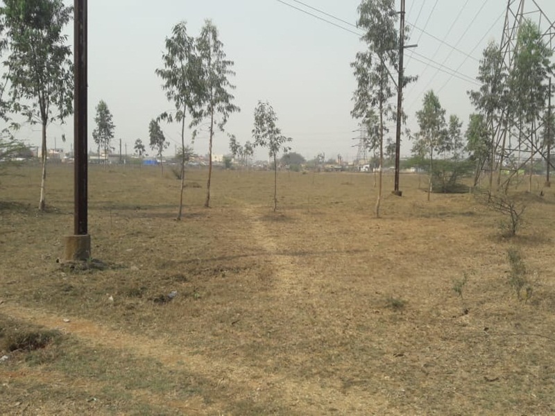 वन विभाग का कारनामा कहें या मौसम की मार, इंजीनियरिंग पार्क में लगे 13 हजार पौधे गायब