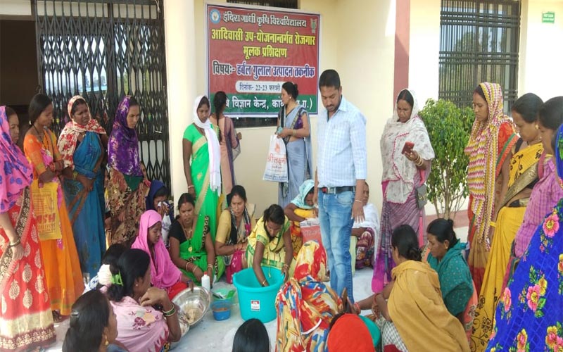 महिला समूह के हर्बल गुलाल के सुरक्षित और खुशनुमा रंगों से रंगीन होगी होली