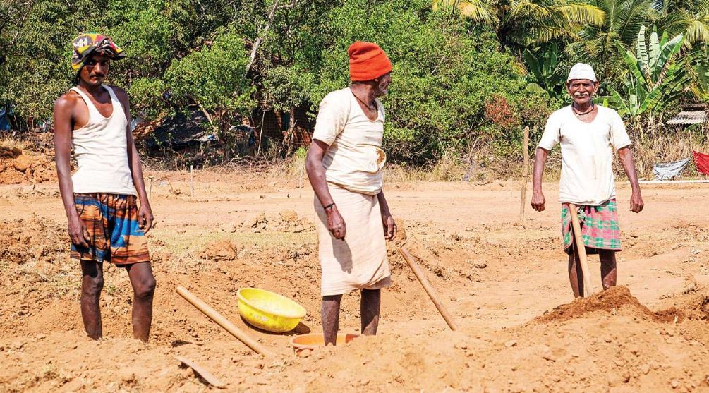 मनरेगा के तहत् 34 कार्यों के लिए लगभग 1.14 करोड़ मंजूर