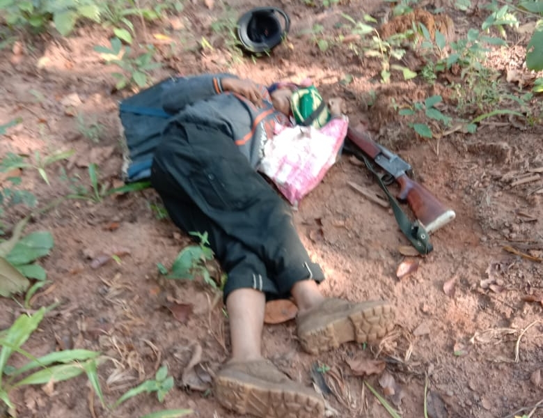 सर्वाधिक 17 नक्सली दंडकारण्य में मारे गए