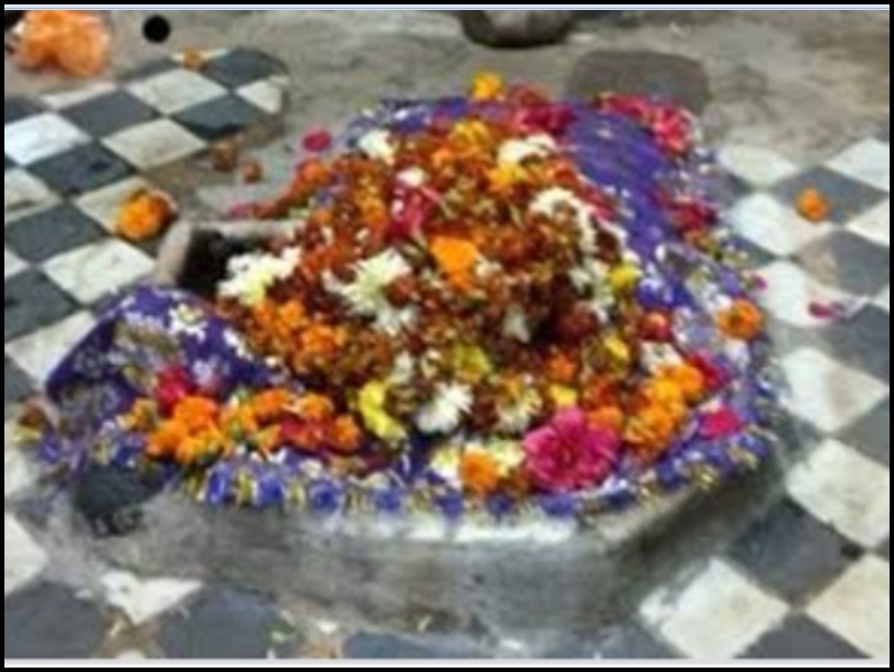 रायपुर के प्रसिद्ध शीतला मंदिर का कोई आकार नहीं, 200 साल से पत्थर रूप में पूजी जा रहीं