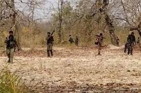 गढ़चिरौली मुठभेड़ में बीजापुर-सुकमा जिले के मारे गये 3 नक्सली
