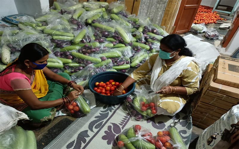 शहर में कोई न सोए भूखा, राशन और सब्जियां पैक करवा रही महापौर