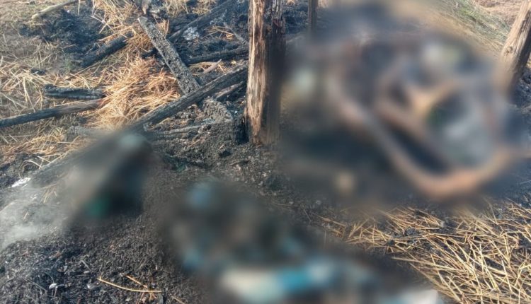 जशपुर में आकाशीय बिजली गिरने से तीन ग्रामीणों की मौत.. मरने वालों में दो सगे भाई शामिल