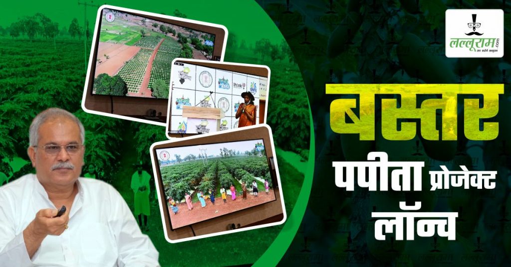 बस्तर पपीता प्रोजेक्ट लॉन्च: CM बघेल ने महिलाओं को दी विकास की नई उड़ान, पपीते की हाईटेक खेती से होगी करोड़ों की आमदनी