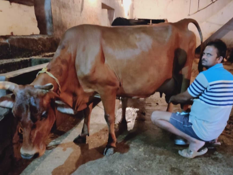 एक ऐसा गांव जिसको अब दूध गांव से नाम से जानने लगे