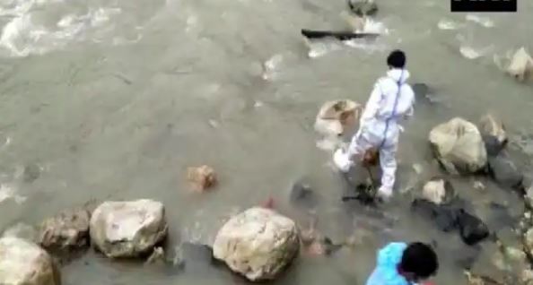 उत्तर प्रदेश के बाद अब उत्तराखंड में अधजले शवों को नोच रहे कुत्ते, सोशल मीडिया पर वायरस हो रहीं तस्वीरें