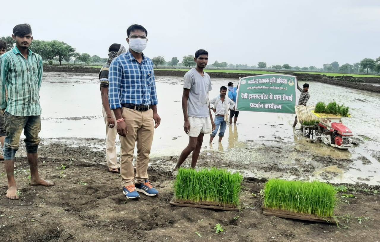 पैडी ट्रांसप्लाॅटर मशीन से धान रोपाई पर किसानों को दिया जाता है अनुदान