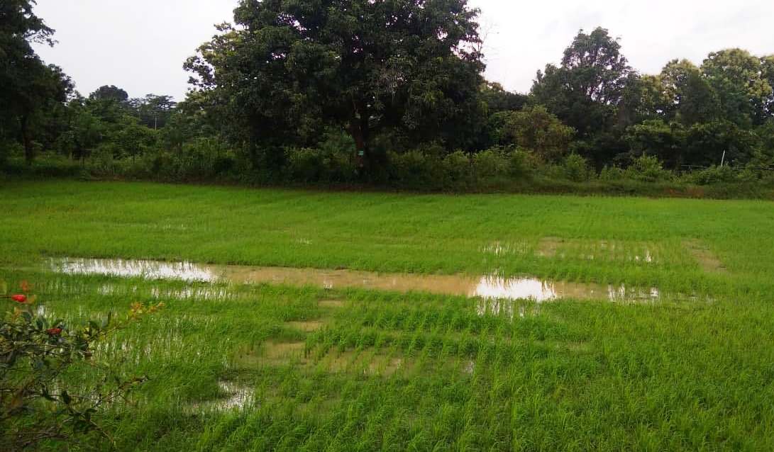 प्रत्येक शाला में स्काउट दल का गठन कर सेवा भाव जागृत करना लक्ष्य : स्काउटस एवं गाइड प्रभारियों की बैठक सम्पन्न