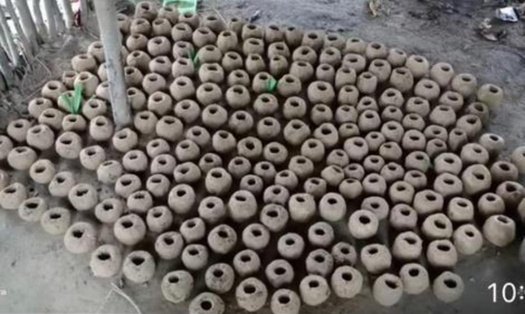 बुआई के कार्यक्रम का सफल आयोजन, लक्ष्य से दोगुना पौधों के सीड बॉल का हुआ छिड़काव