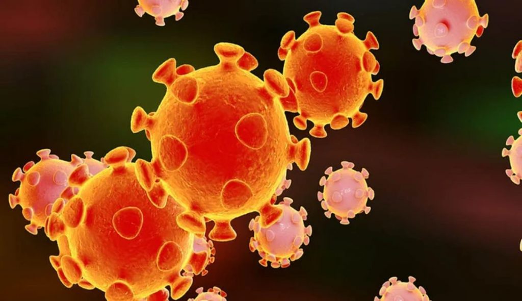 कोरोना की तीसरी लहर ने दी दस्तक ! 10 स्कूली बच्चे समेत 24 लोग निकले पॉजिटिव, जिला प्रशासन में मचा हड़कंप…