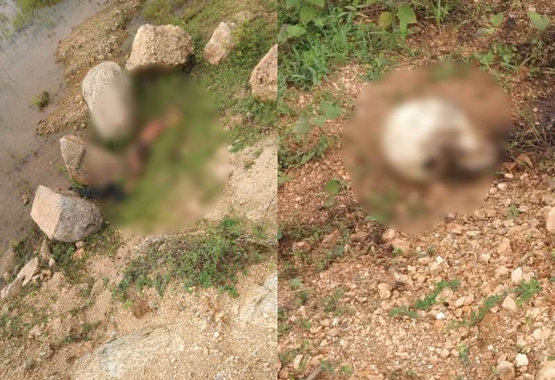 सूनसान इलाके में नाबालिग का सिर कटा शव बरामद, 10 दिन से था लापता, इलाके में फैली सनसनी…