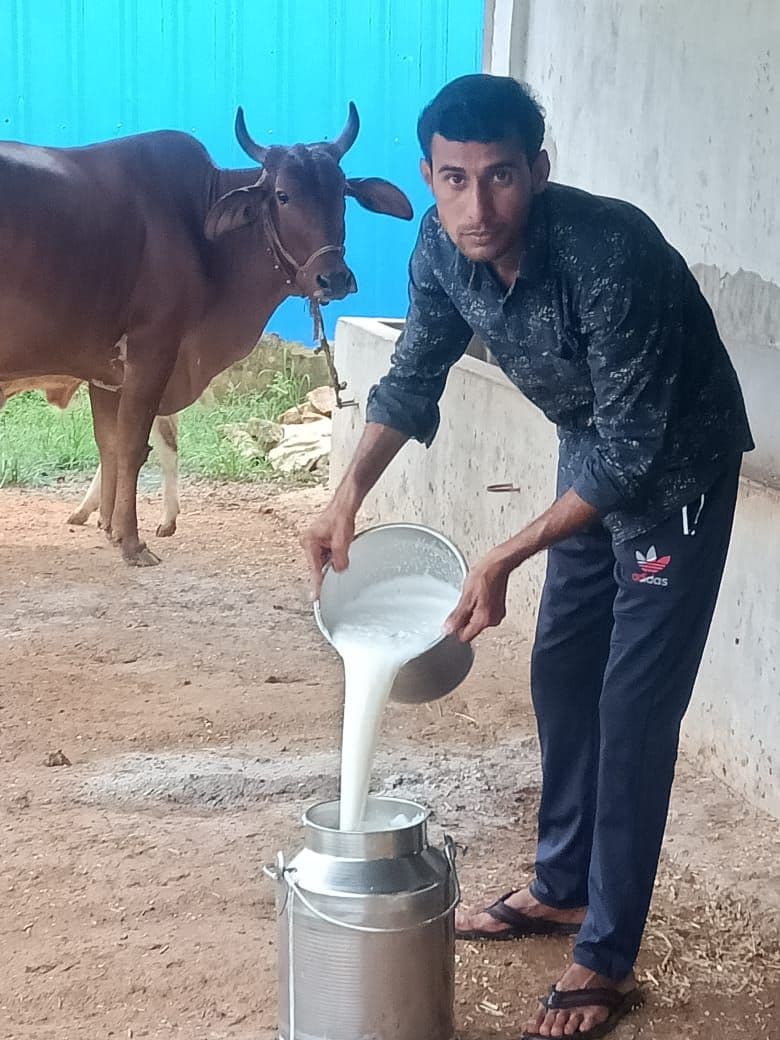 प्रतिदिन 80 लीटर दूध बेचकर 30 हजार रूपये की आमदनी कर रहा पारेख