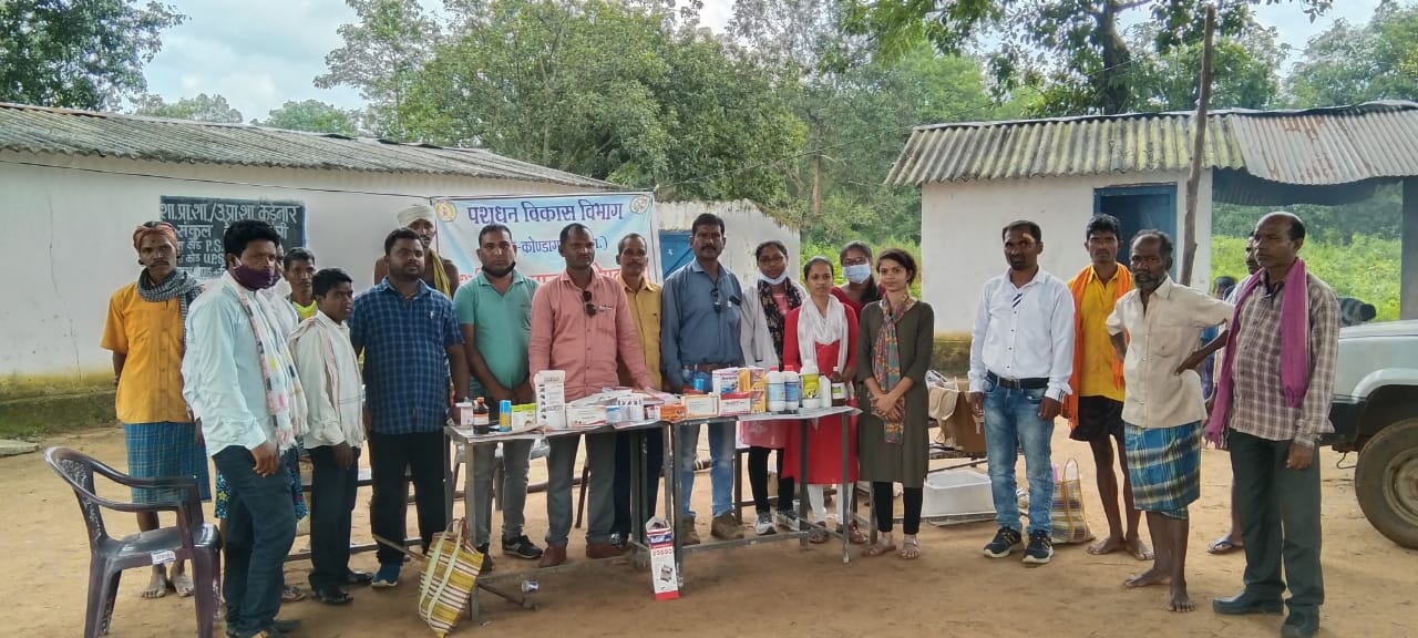 कलेक्टर के आदेश के बाद पशु विभाग पहुंचा कड़ेनार, लगाया पशु चिकित्सा एवं जागरूकता शिविर