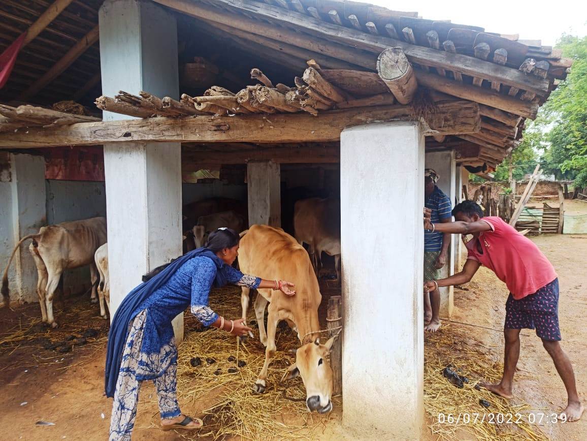 पशुपालन को आय संवृद्धि हेतु आधार बनाने जुटी हैं पशु सखियां