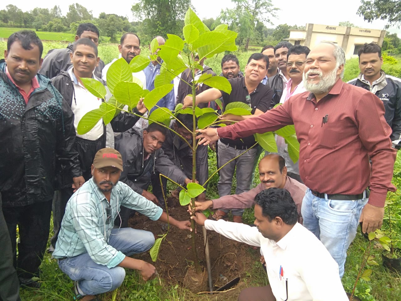 शैक्षिक समन्वयकों द्वारा वृक्षारोपण कर किया रक्तदान