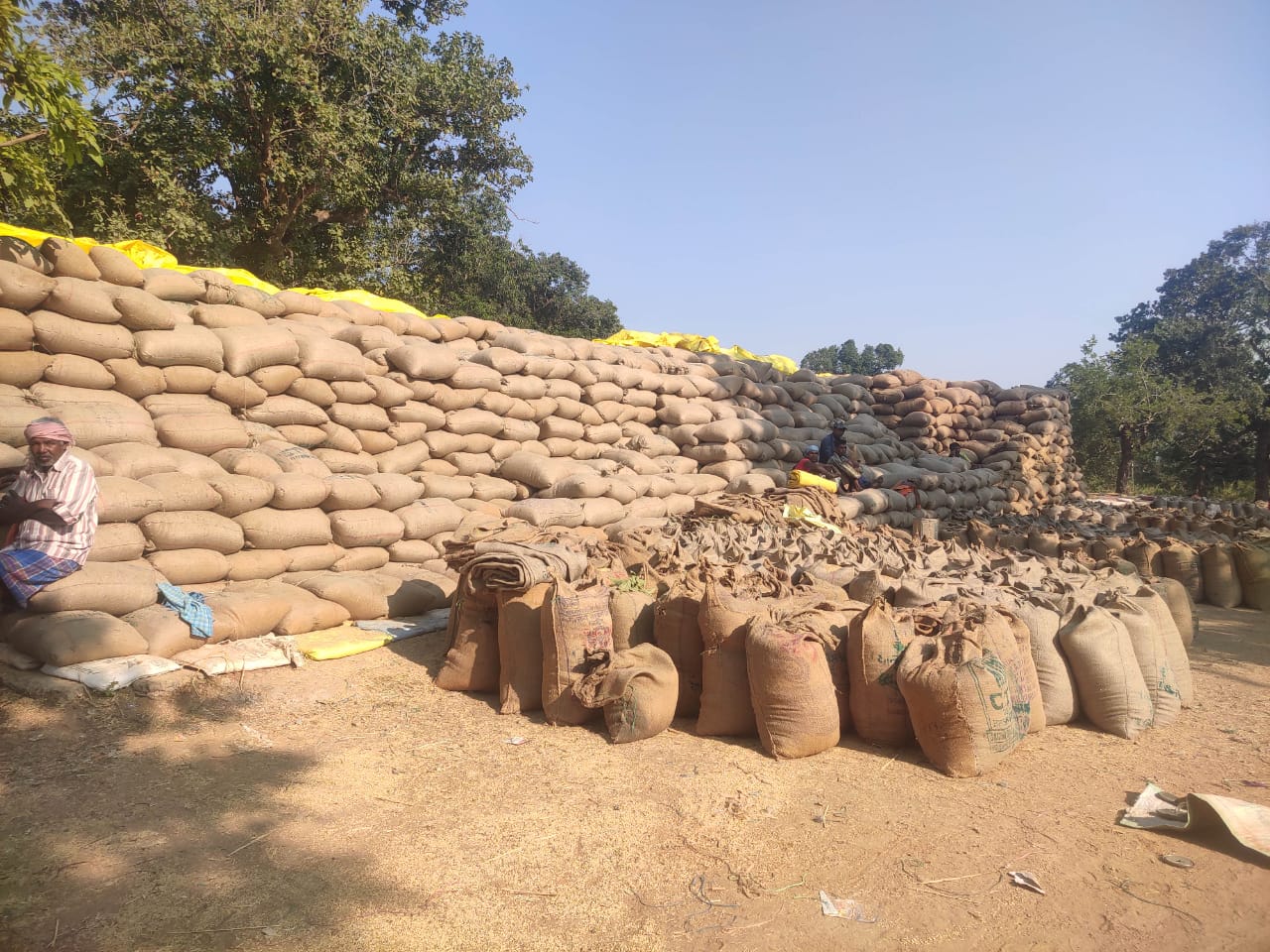 धान उठाव के अभाव में 1 दिसंबर से होगी धान खरीदी बंद -संघ ने कलेक्टर को सौंपा ज्ञापन