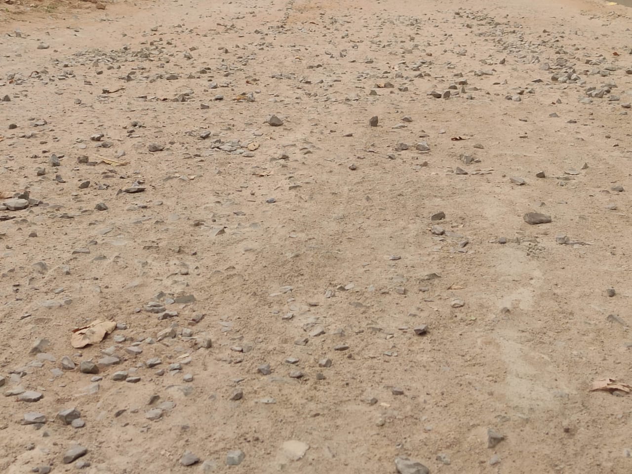 गुणवत्ताहीन निर्माण चंद महीनों में उखड़ने लगी सड़क, मामला ग्राम बांसकोट