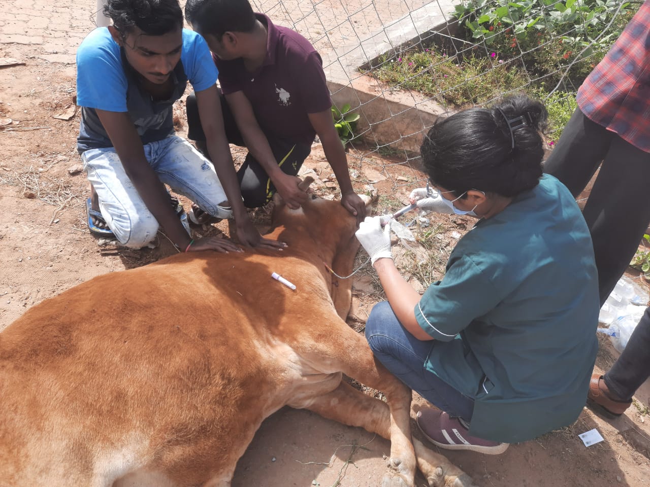 जिले के पशुपालक लम्पी बीमारी से रहे सावधान