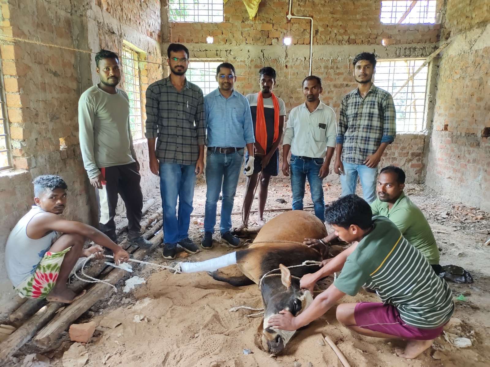 कड़ेनार और कीलम में पशु चिकित्सा शिविर का आयोजनपशुओं को लगाए गए टीके, बीमार पशुओं का किया गया उपचार