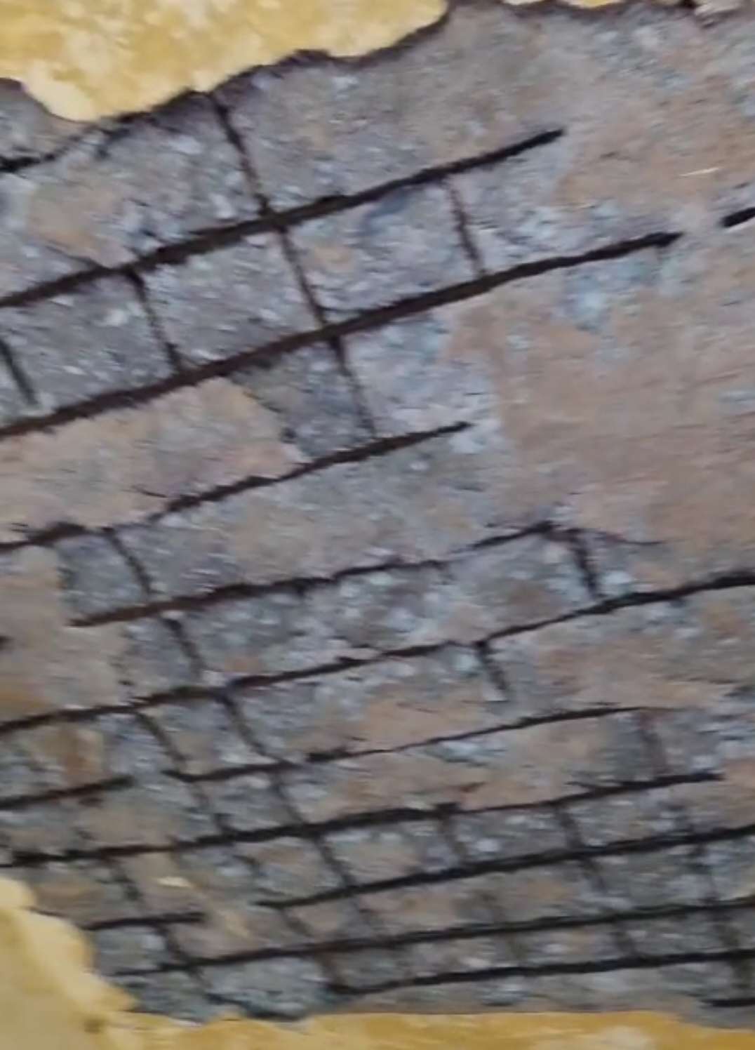 आदिवासियों का गंभीर आरोप-शिक्षा विभाग की मंशा है कि आदिवासी बच्चों की जान जोखिम में पड़े...
