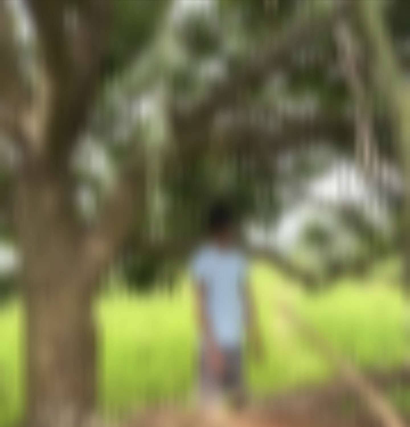 किबरा निवासी युवक ने लगाई फांसी, कारण अज्ञात..