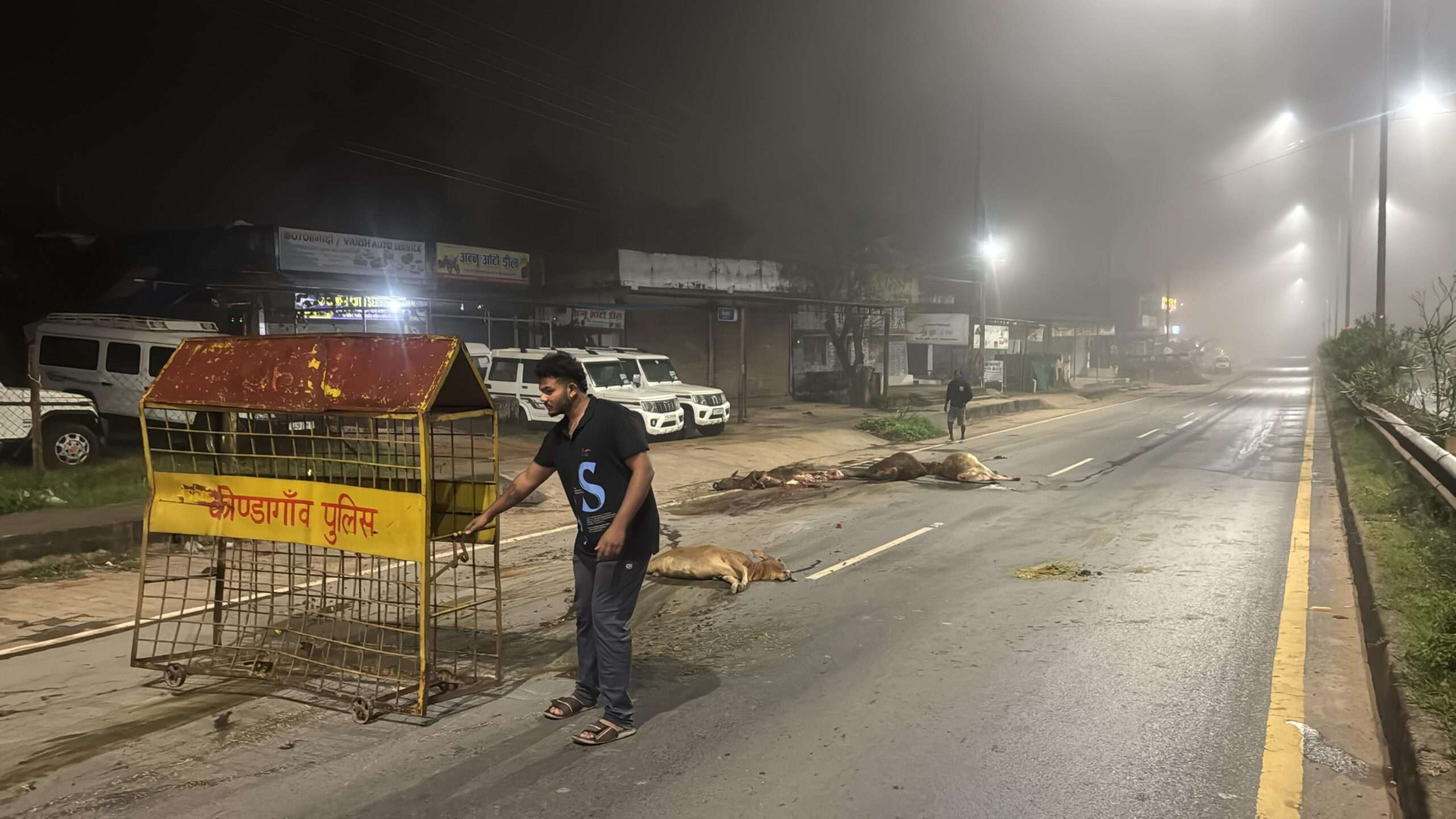 तेज रफ्तार ट्रक ने पांच गौवंशों को रौंदा, एक गौ माता को घसीटता ले गया — चालक फरार