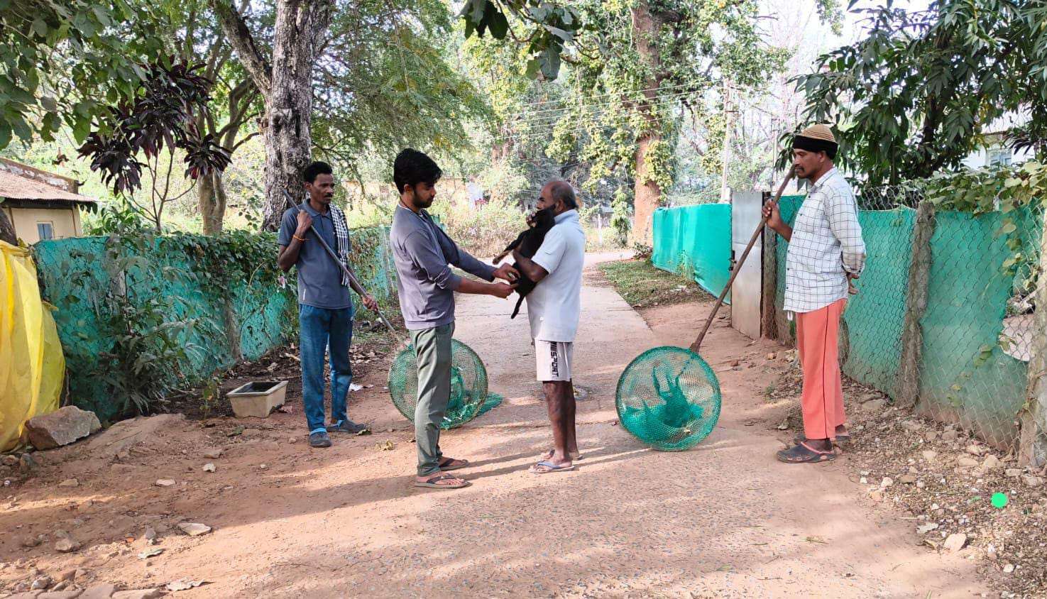 नगर पालिका क्षेत्र में आवारा कुत्तों का टीकाकरण अभियान तेज, शहरभर में टीमों की तैनाती