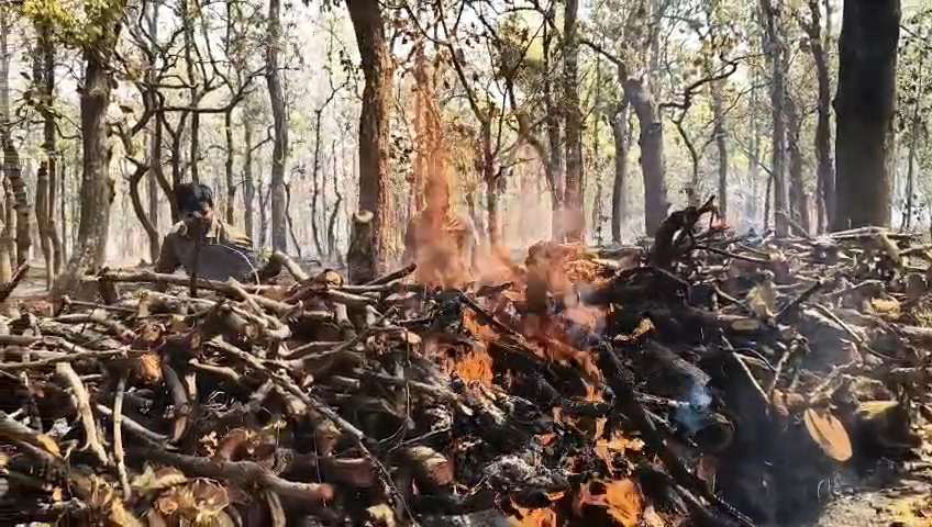 हड़ताल के बीच जंगल में धधकी आग, अधिकारी खुद मोर्चे पर - नारंगी परिक्षेत्र के आरएफ-843 में भीषण आग